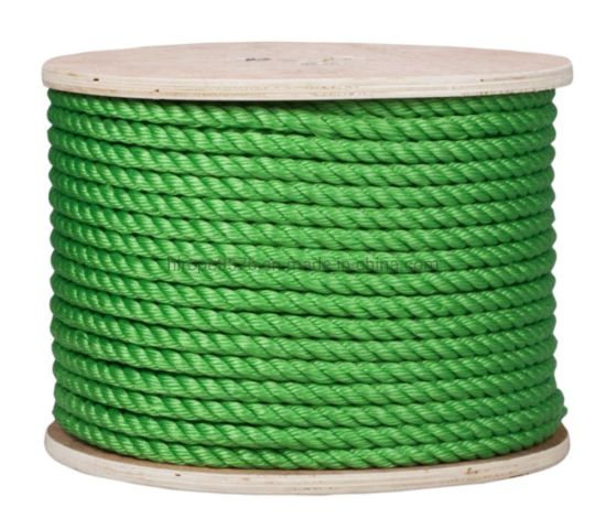 4 longueur verte de 200 m de longueur par rouleau polypropylène corde