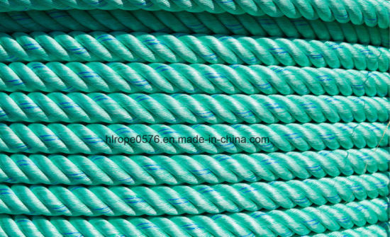 3-Strands Green Polypropylène Twist Boad corde en rouleau pour l'agriculture